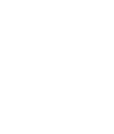 MZ Product